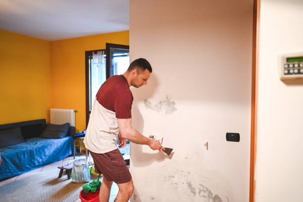 Best Black Mold Removal  in Greene, IA